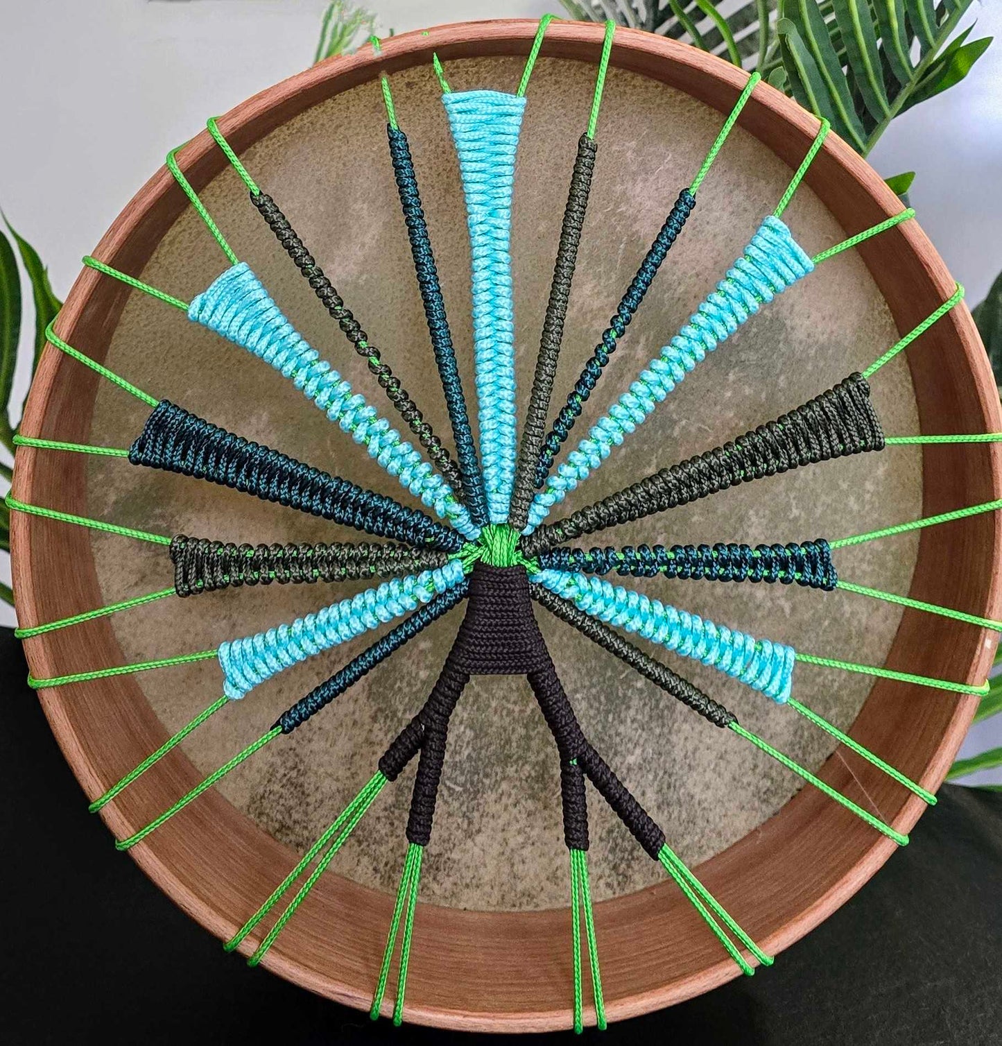 Tambour Buffle - Arbre Boussole